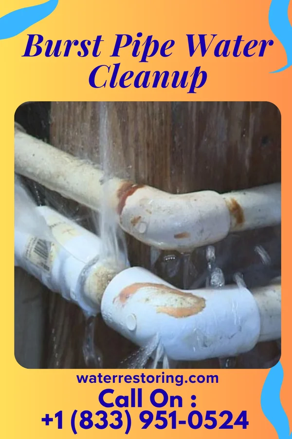 Burst Pipe Water Cleanup in Loveland, OH