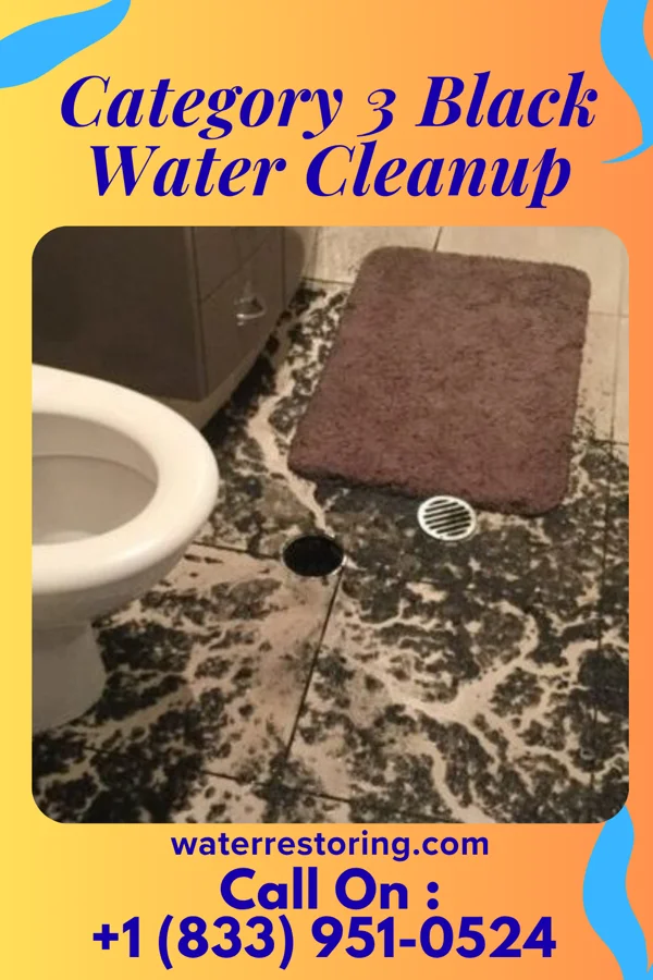 Category 3 Black Water Cleanup in Loveland, OH