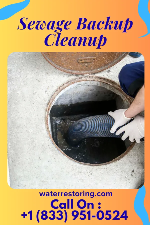 Sewage Backup Cleanup in Loveland, OH
