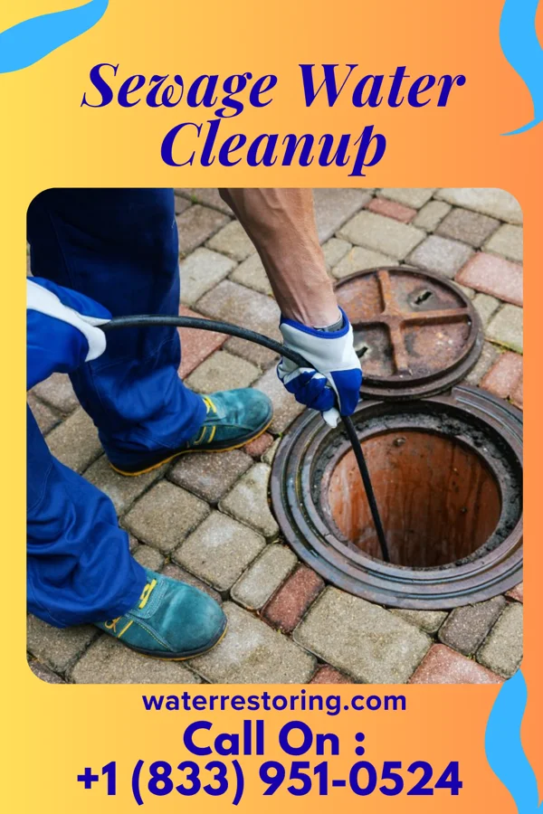 Sewage Water Cleanup in Loveland, OH