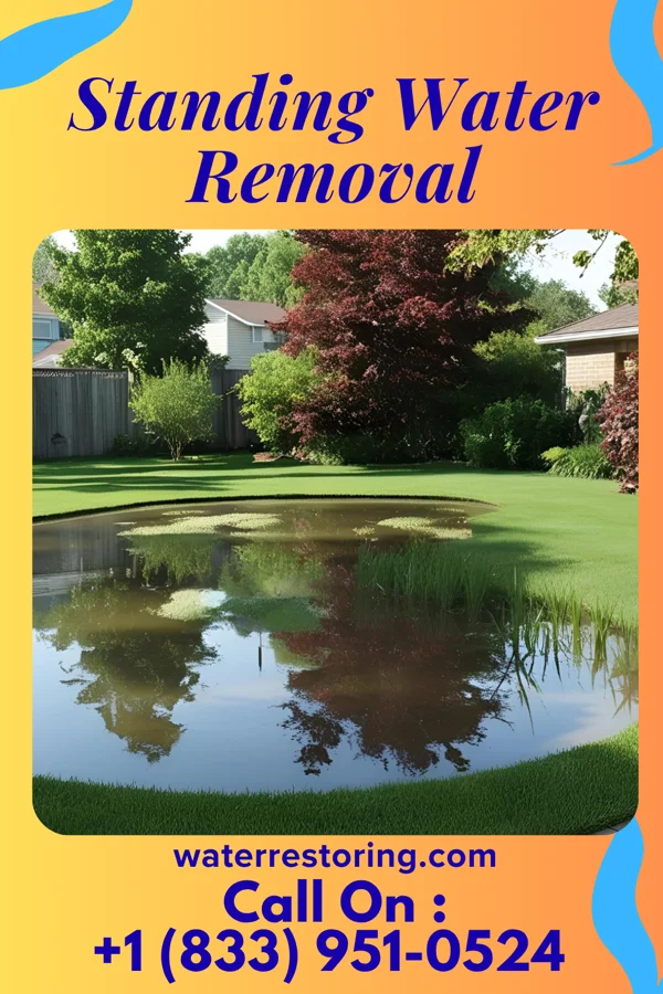 Standing Water Removal in Loveland, OH